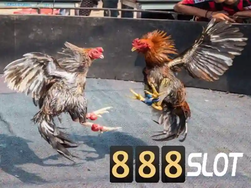 888slot - Đánh giá sòng bạc máy đánh bạc trực tuyến