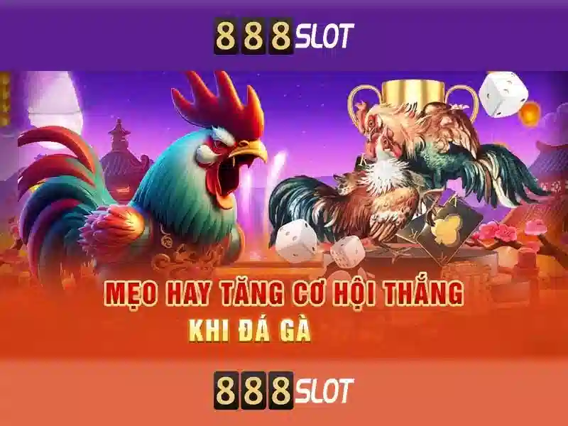 Khám phá 888slot - nền tảng casino trực tuyến