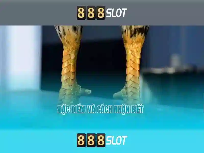 Njoy slot 888 – Tổng quan chủ đề và giá trị cốt lõi