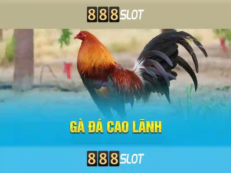 Giới thiệu về 888slot