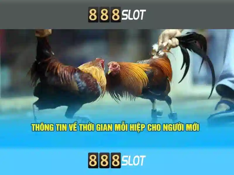 888 slot download: trai nghiem tuyet voi va 888slot web