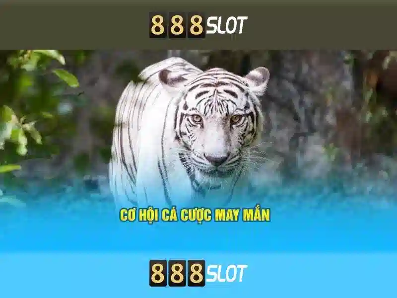 Khám phá 888slot – Nền tảng chơi slot trực tuyến uy tín