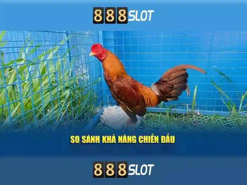 rich 888 slot – Tổng quan</span></p>