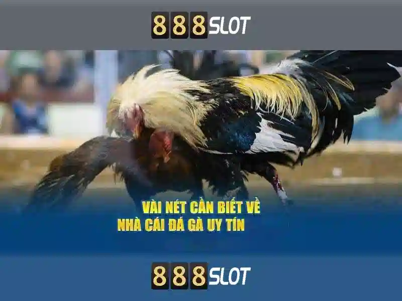 Minh họa 888slots betrug