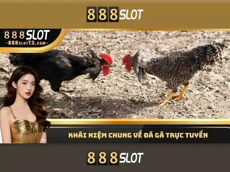 Lý do nên chọn 888slot