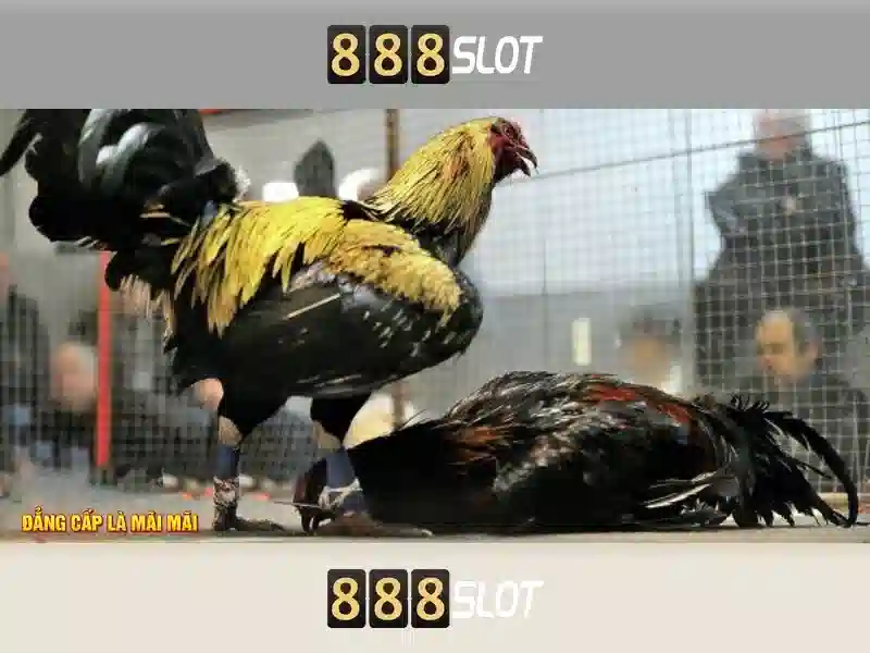 888 slot link alternatif – Trải nghiệm liên tục và an toàn