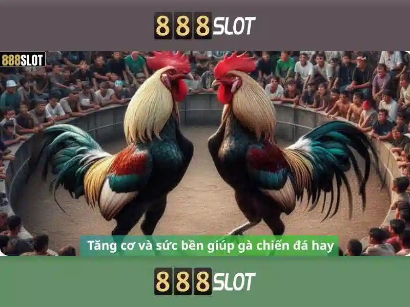 888 slot online - Trải nghiệm và chiến lược thành công