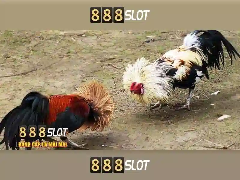 888slot - Sàn slot trực tuyến phổ biến