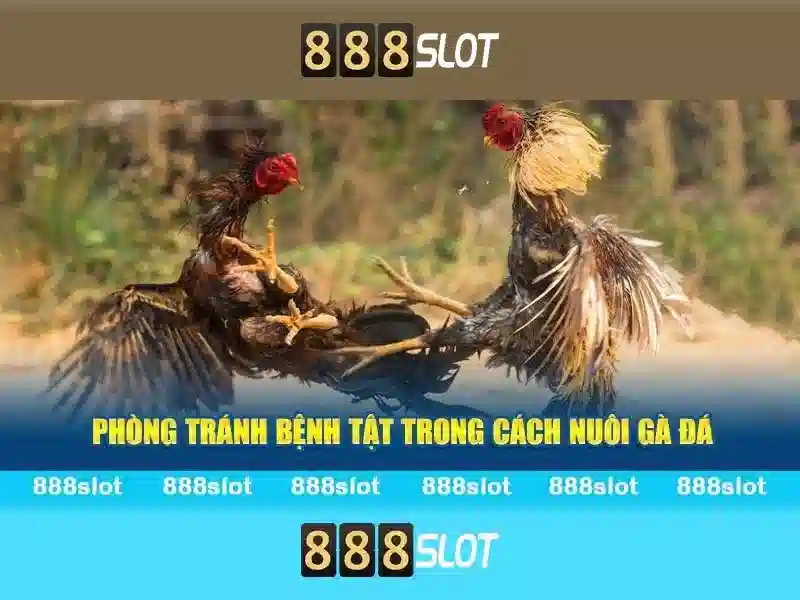 888slot: Đánh giá tổng quan và trải nghiệm slot trực tuyến