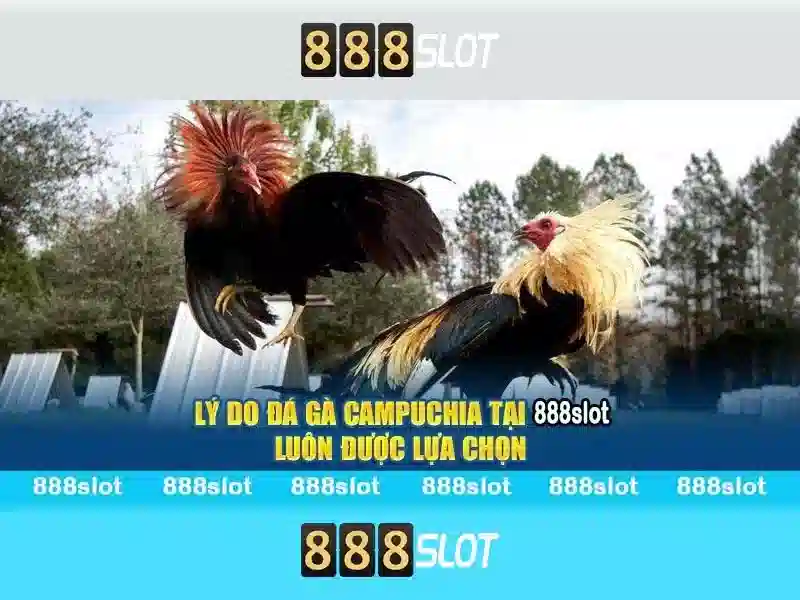 Trải nghiệm người dùng tại 888slot