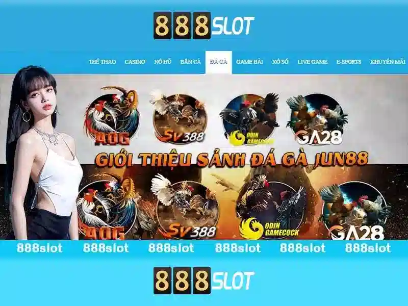 An toàn và thanh toán nhanh chóng