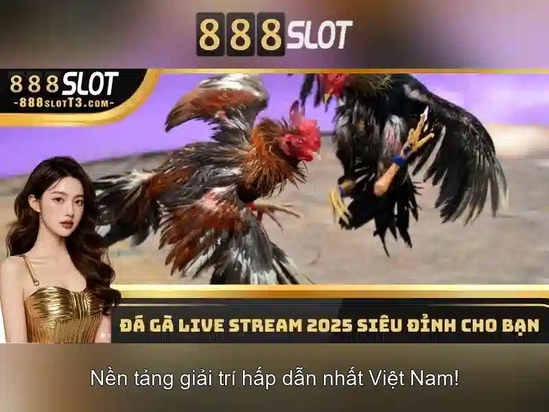 888slot – Nền tảng máy đánh bạc trực tuyến hàng đầu