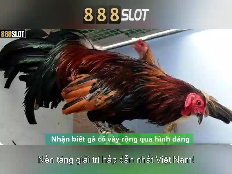 like slot 888: Trải nghiệm, đánh giá và giá trị