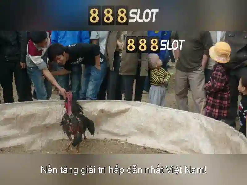 888slot - Nền tảng Slot Trực tuyến hàng đầu