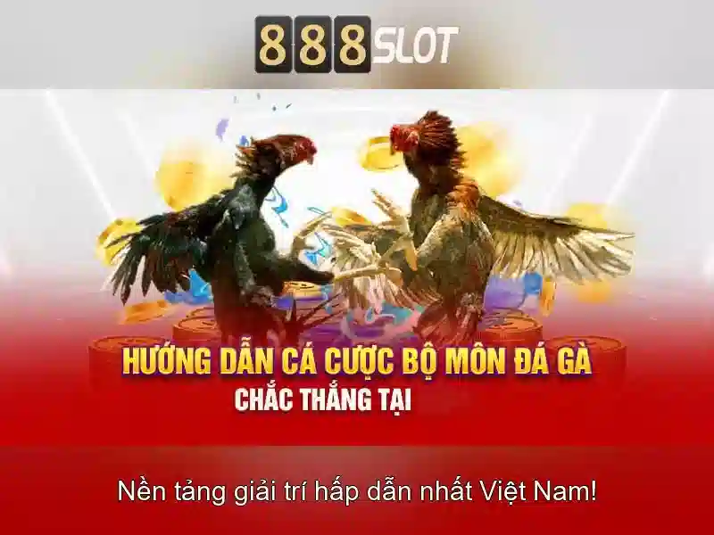Khuyến mãi và thanh toán