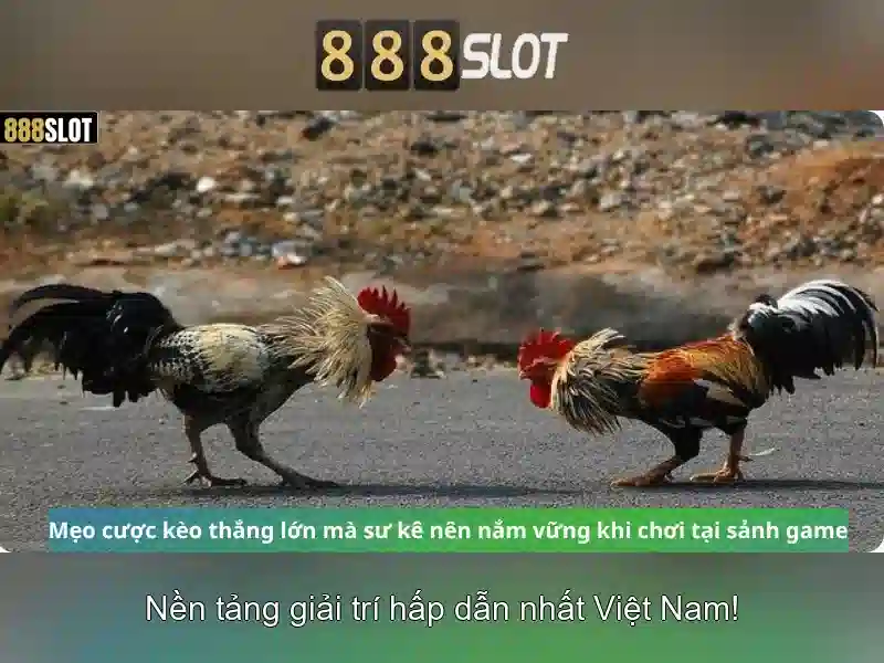 888slot: Đánh giá và hướng dẫn chơi slot trực tuyến