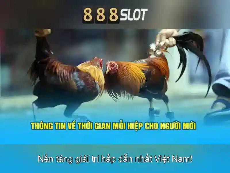 An toàn và thanh toán\n\n<h>Cách đăng ký và nhận ưu đãi</h>\n<p><span style=