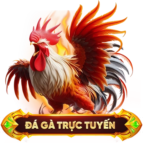 đá gà trực tuyến 888SLOT